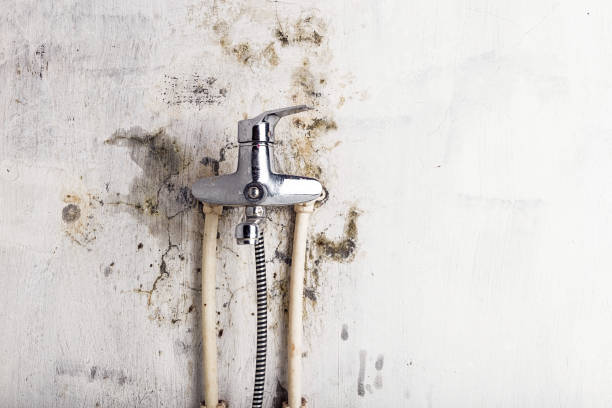 Best Toxic Mold Removal  in Ontario, OR