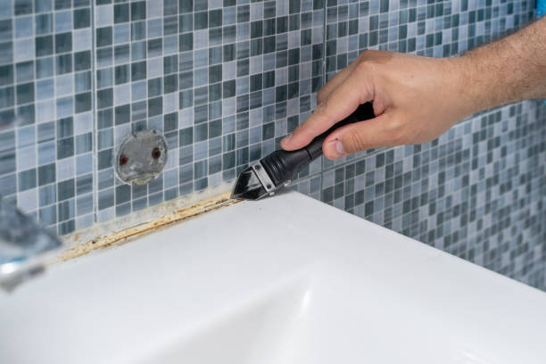 Best Best Mold Removal Companies  in Ontario, OR